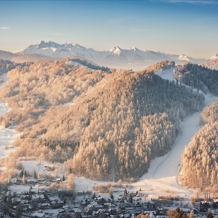 Chalet Villa Pod Jemiola Шчавница Екстериор снимка
